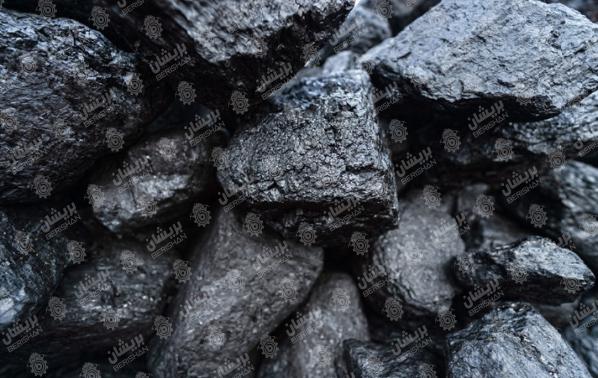 قیمت انواع زغال بسته بندی شده در شرکت تولیدی