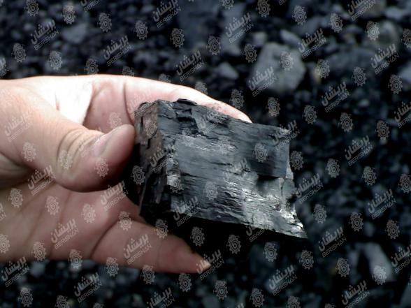 انواع زغال وارداتی در بازار