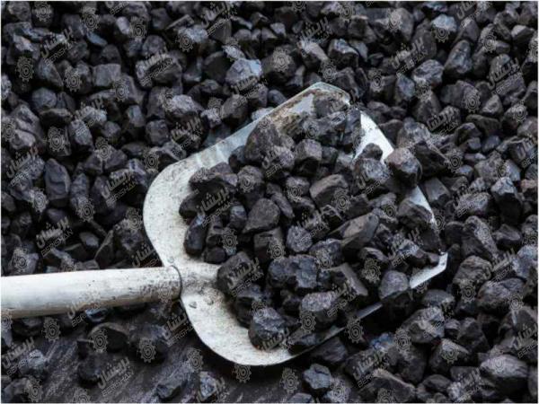 صادرات مرغوب ترین زغال به سراسر کشور