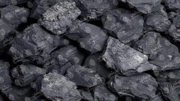 قیمت هر کیلو زغال در بازار چقدر است؟