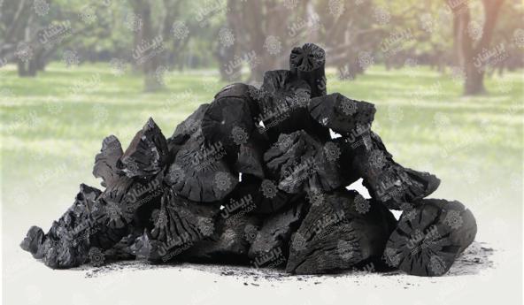 عرضه کننده زغال جنگلی کبابی 