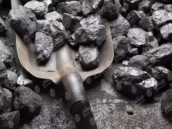 خرید انواع زغال وارداتی درجه یک با قیمت مناسب