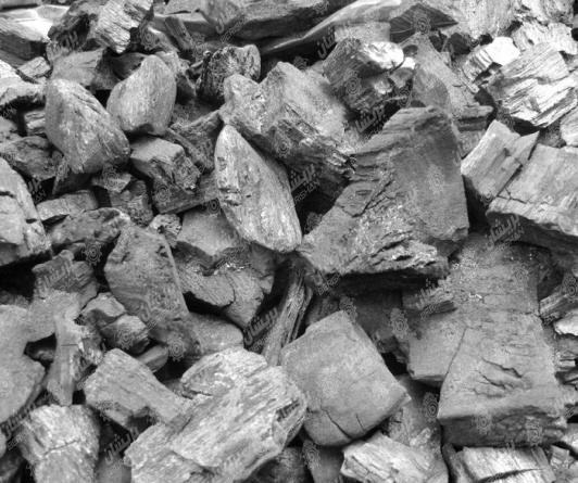 قیمت روز انواع زغال صادراتی