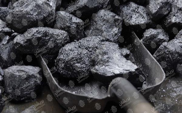خرید آنلاین انواع زغال وارداتی