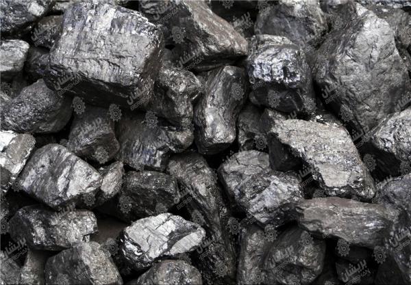 شرکت پخش زغال صادراتی با قیمت ارزان