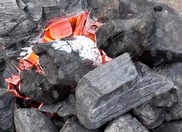 موارد استفاده از زغال باربیکیو قالبی 