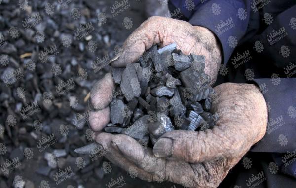 فروشنده زغال بلوط مرغوب