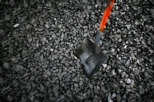 تولید زغال صادراتی جهرم